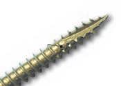 type 17 point